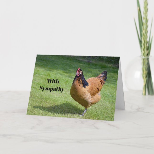 Carte Poulet noir et or Vorwerk Sympathie photo (Devant)