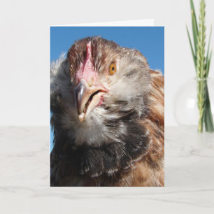 Carte Poulet saumon Faverolle, Anniversaire