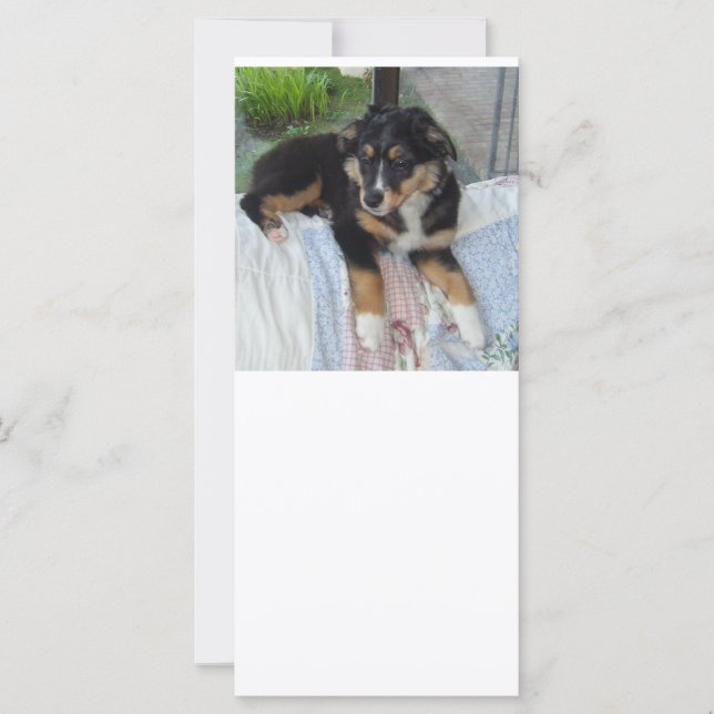 Carte poupée de tri noir aussie (Devant)