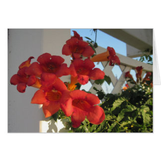 Carte pour Comfort a Bereaved Person on un jour sp