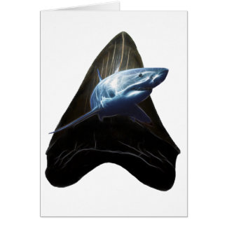 Carte pour dent de requin