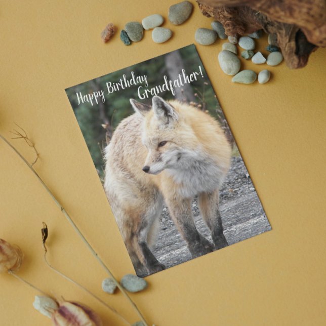 Carte Pour Grand-Père Red Fox Photo Anniversaire (In Situ)