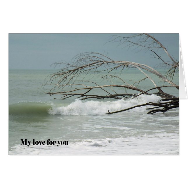 Carte pour l'amour et la romance, Image de la mer (Devant horizontal)