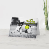 Pour lui sur son Anniversaire Jack Russel Terrier