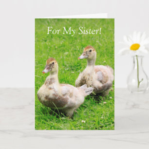 Carte Pour Ma Soeur Cancer Soutien Canard