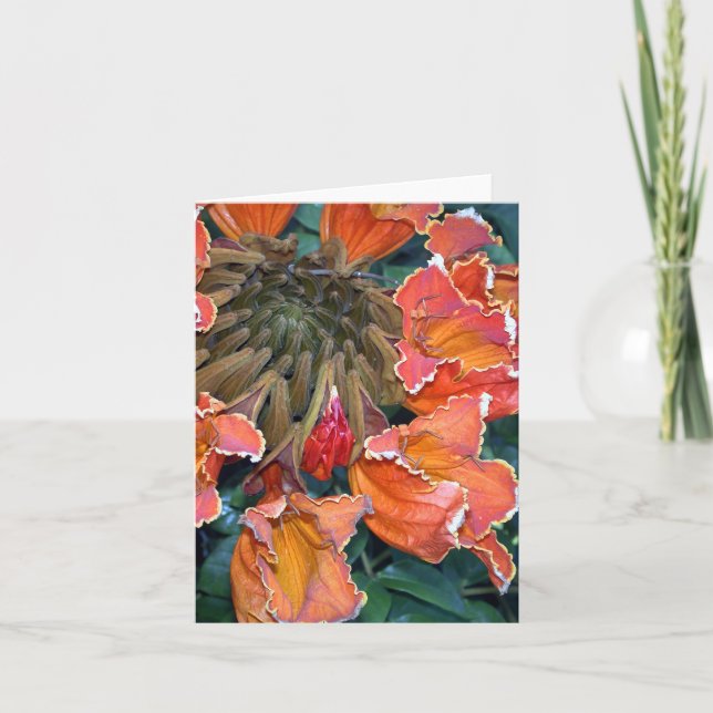 Carte pour notes africain d'arbre de tulipe (Devant)
