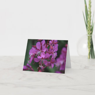 Carte pour notes alpin de Fireweed