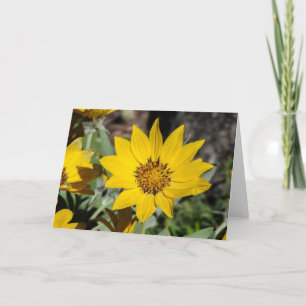 Carte pour notes Arrowleaf Balsamroot
