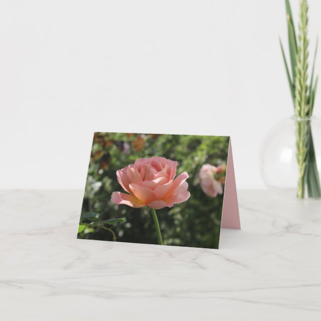 Carte pour notes avec Belle Rose de corail (Devant)