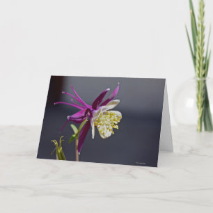 Carte pour notes avec la fleur de Columbine de