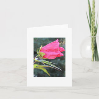 Carte pour notes avec la fleur rouge brillante