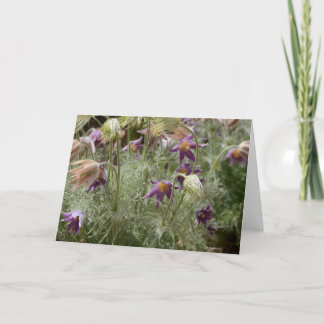 Carte pour notes avec le crocus sauvage