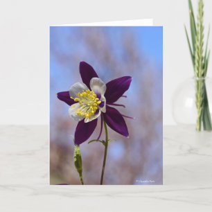 Carte pour notes avec le souvenir Columbine