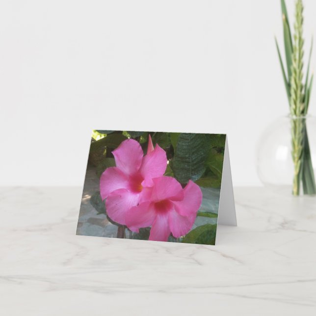 Carte pour notes avec les fleurs roses (Devant)