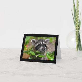 Carte pour notes Baby Raccoon