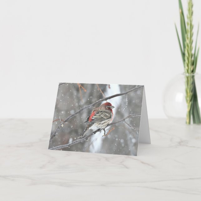 Carte pour notes blanc aux oiseaux neigeux. (Devant)