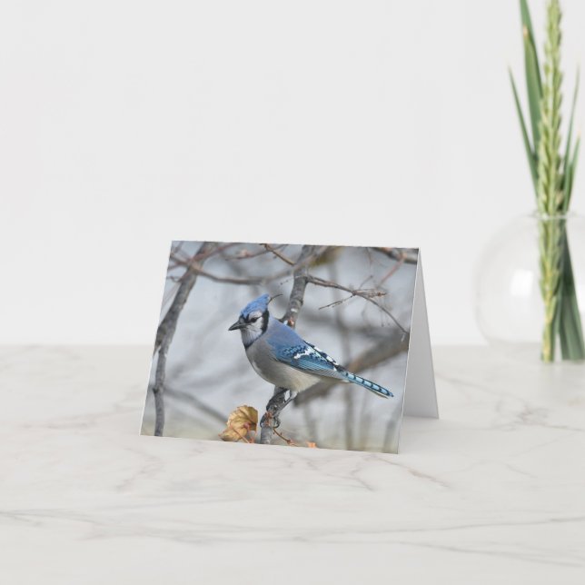 Carte pour notes blanc Bluejay. (Devant)