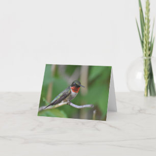 Carte pour notes blanc de colibri
