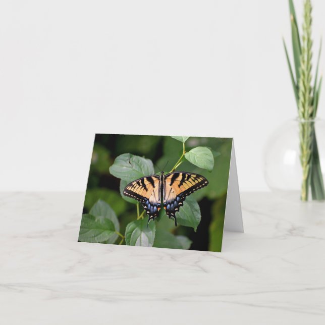 Carte pour notes blanc de papillon Swallowtail. (Devant)