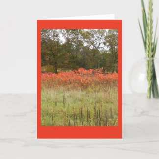 Carte pour notes blanc Sumac d'automne