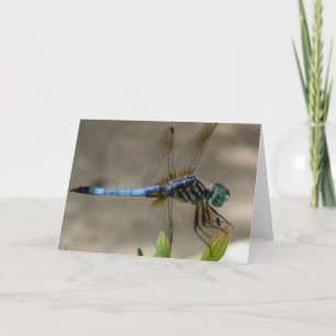 Carte pour notes bleu de libellule