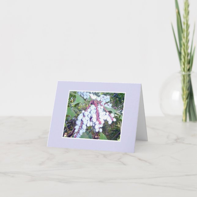 Carte pour notes Blueberry (Devant)