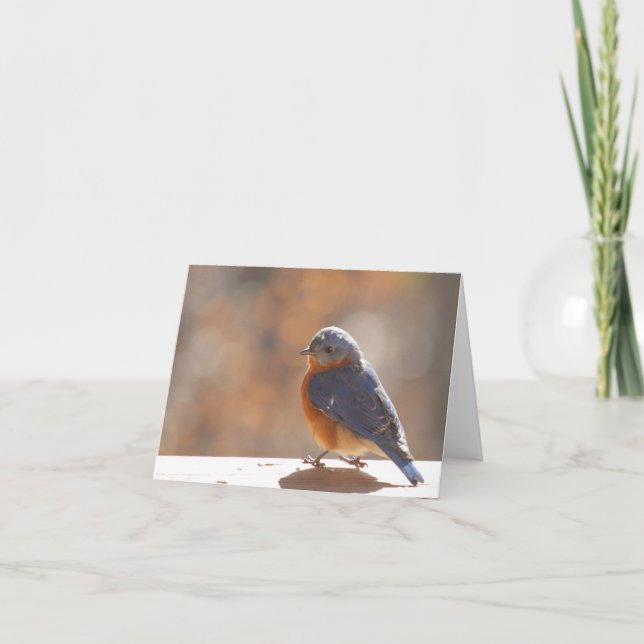 Carte pour notes Bluebird - Blanc à l'intérieur (Devant)