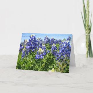 Carte pour notes Bluebonnets