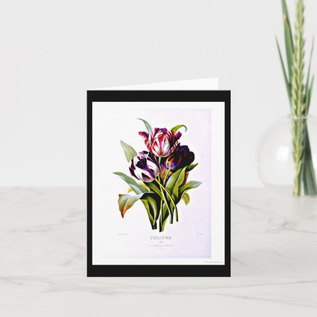 Carte pour notes-Botanicals-Pierre Joseph Redoute (Devant)