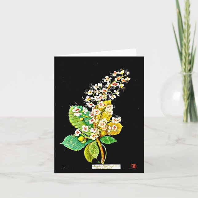 Carte pour notes-Botanique-Mary Delany 10 (Devant)