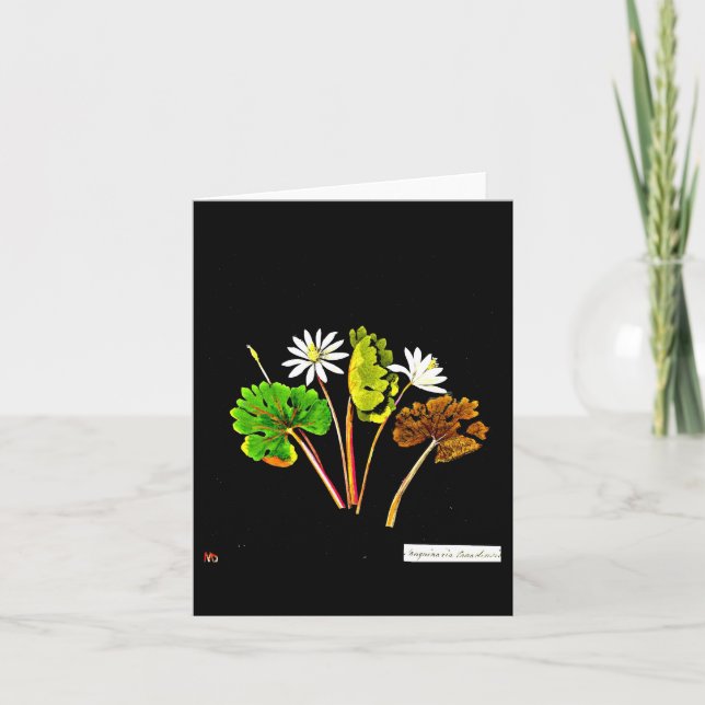 Carte pour notes-Botanique-Mary Delany 13 (Devant)