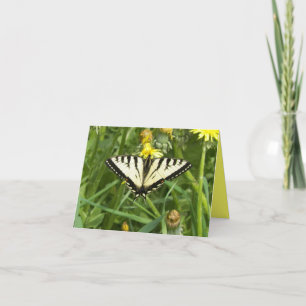 Carte pour notes canadien de papillon de machaon