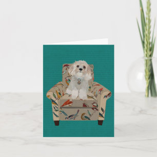 CARTE POUR NOTES CAVIPOODLE
