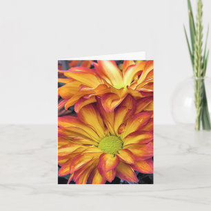 Carte pour notes - Chrysanthèmes