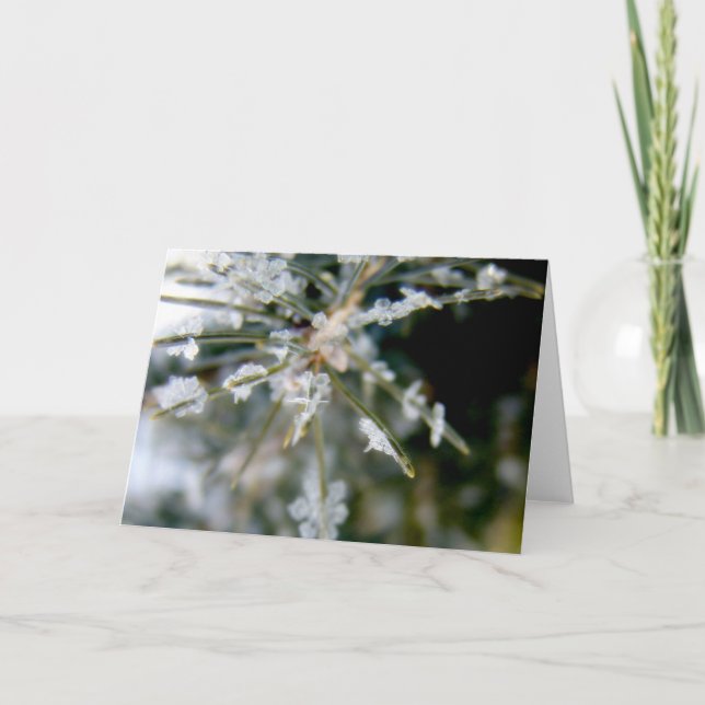 CARTE POUR NOTES, cristaux de glace sur les (Devant)
