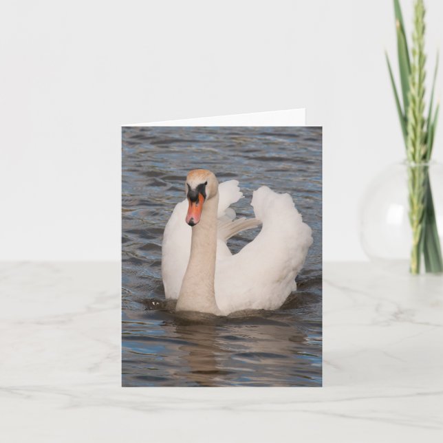 Carte pour notes : Cygne muet masculin de "grâce" (Devant)