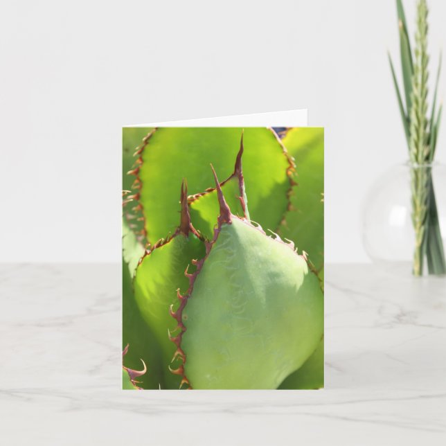 Carte pour notes d'agave vert (Devant)