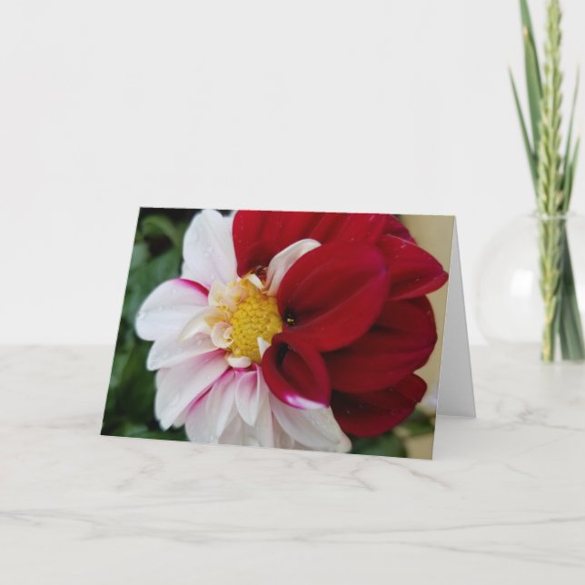 Carte pour notes Dahlia (Devant)
