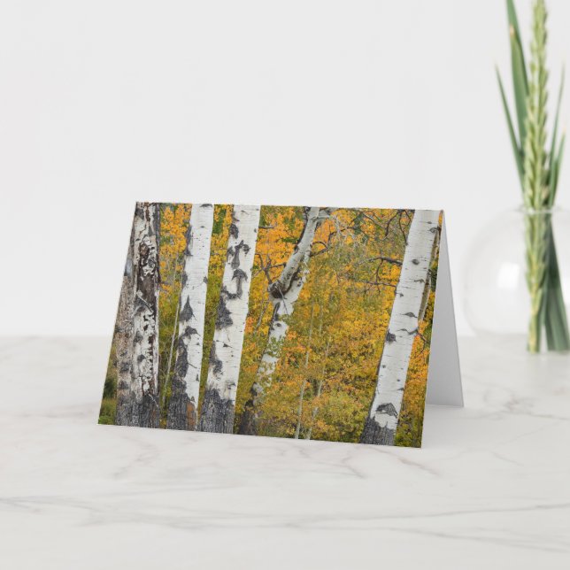 Carte pour notes d'automne du Montana (Devant)
