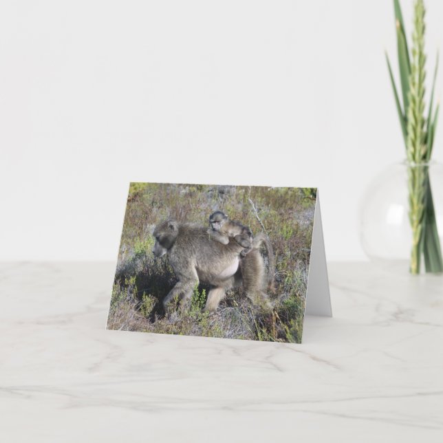 Carte pour notes de babouin (Devant)