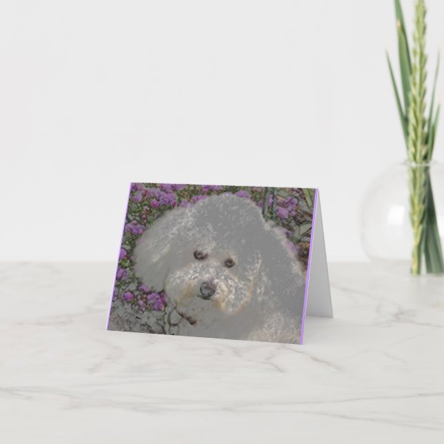 Carte pour notes de Bichon Frise (Devant)
