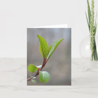 Carte pour notes de Blackhaw