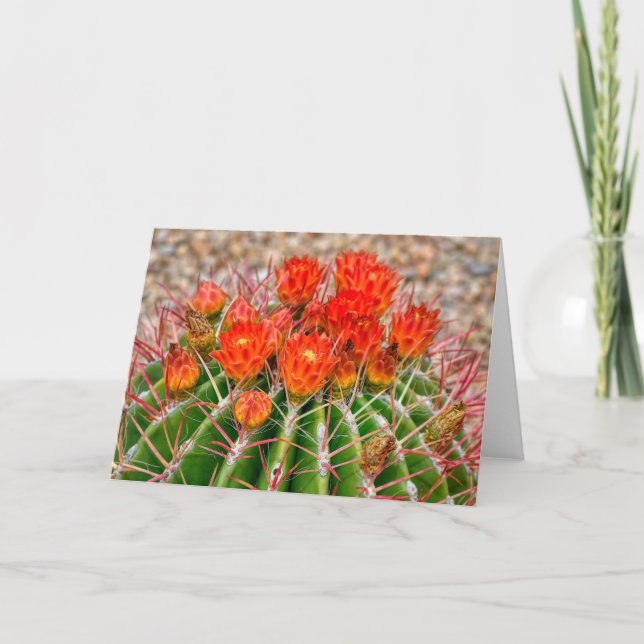 Carte pour notes de Cactus - Les fleurs de l'Arizo (Devant)