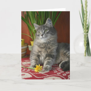 Carte pour notes de chat tigré et de jonquilles