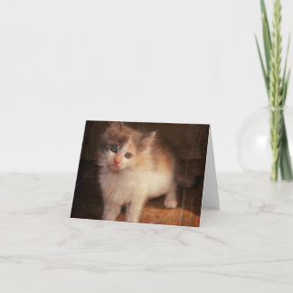 Carte pour notes de chaton de calicot
