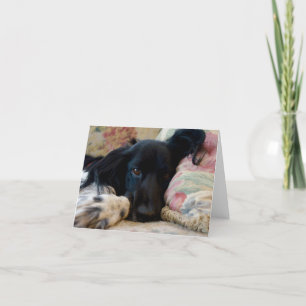 Carte pour notes de chien breton au repos