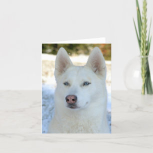 Carte pour notes de chien de traîneau sibérien ou