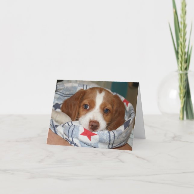 Carte pour notes de chiot de la Bretagne de câlin (Devant)