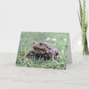 Carte pour notes de crapaud