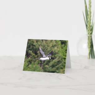 Carte pour notes de dingue de vol